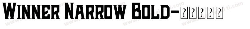 Winner Narrow Bold字体转换